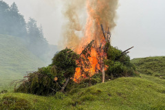 IMG-20240623-WA0002-bm