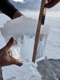 IMG-20250117-WA0006