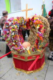 IMG_4331-bm