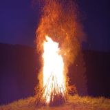 IMG-20250623-WA0006