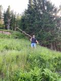 IMG-20250703-WA0030