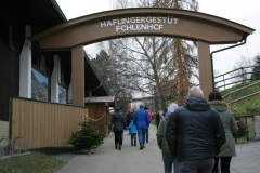 IMG_0111-bm