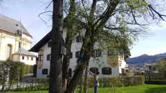 IMG-20220418-WA0010