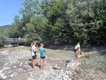 IMG-20260809-WA0008