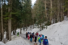 IMG-20190210-WA0012
